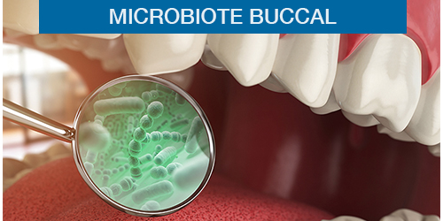 Microbiote buccal